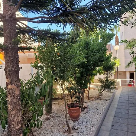 بيت للعطل Magnifico Adosado En Torrevieja, Alicante.
